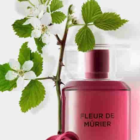 FLEUR DE MURIER KARL LAGERFELD 100ml